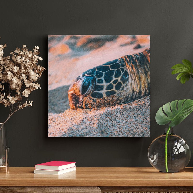 Turtle Head On White Sand - From Where - 