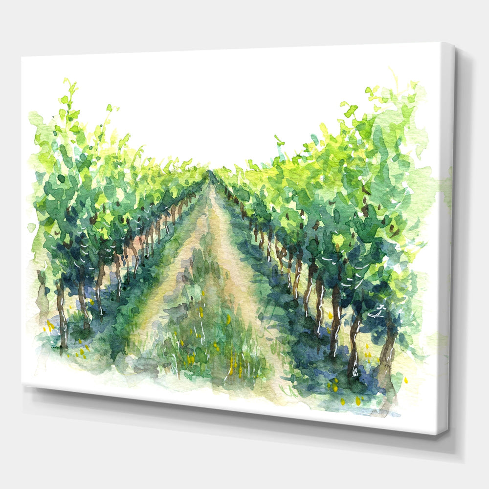Vineyard Path Canvas Art - From Where -