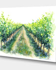 Vineyard Path Canvas Art - From Where - 