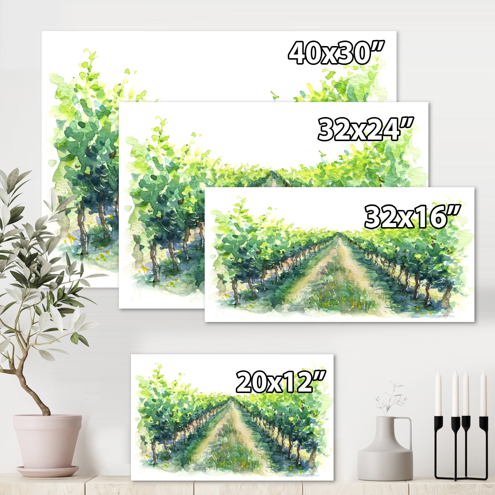 Vineyard Path Canvas Art - From Where - 