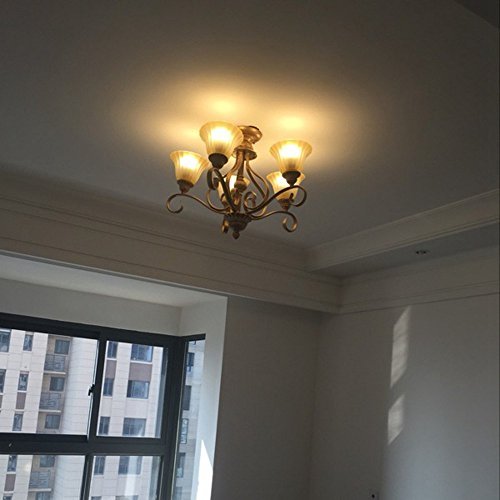 Vintage European Chandelier - From Where - 