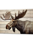 Vintage Moose Canvas Wall Art - From Where - 