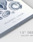 Vintage Nautical Print XVII - From Where - 
