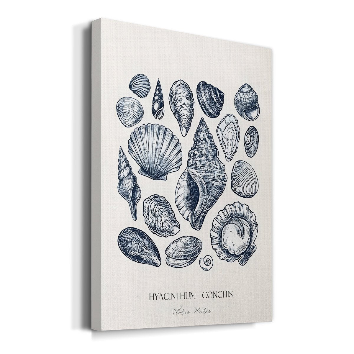 Vintage Nautical Print XVII - From Where - 