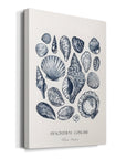 Vintage Nautical Print XVII - From Where - 