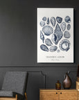 Vintage Nautical Print XVII - From Where - 