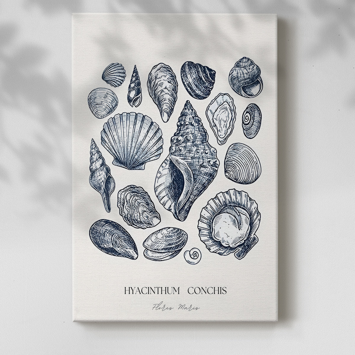 Vintage Nautical Print XVII - From Where - 
