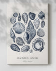 Vintage Nautical Print XVII - From Where - 