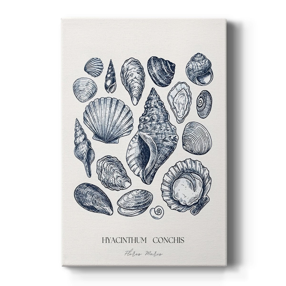 Vintage Nautical Print XVII - From Where - 
