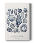 Vintage Nautical Print XVII - From Where - 