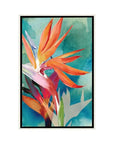 "Vivid Birds Of Paradise II" Wall Art - From Where - 