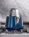 Whistling Tea Kettle - From Where Finds - 