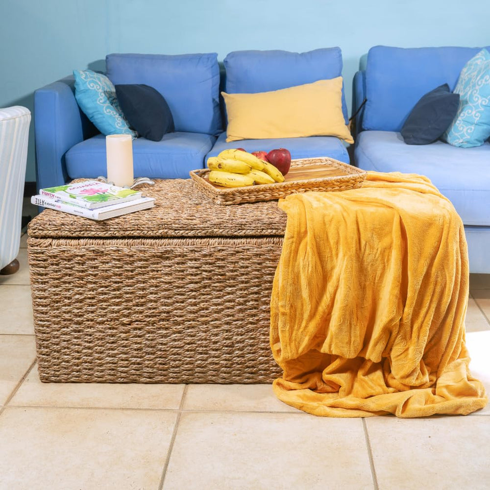 Wicker Rattan Trunk Storage - From Where - 