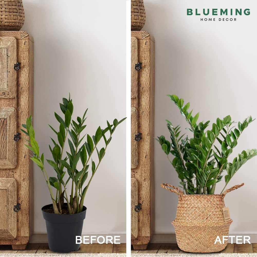 Wicker Seagrass Planter - From Where - 