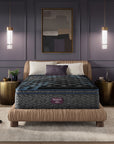 World Class Level 4 Plush 15.25" Mattress - From Where Finds - 