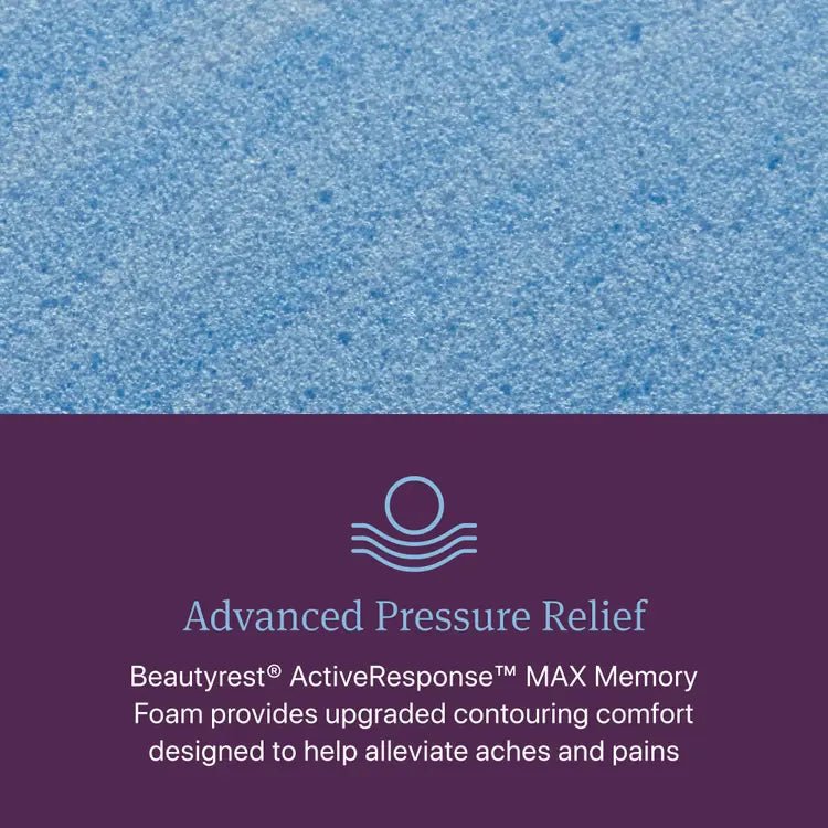 World Class Level 4 Plush 15.25" Mattress - From Where Finds - 