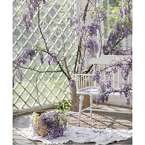 Wrought Iron Vintage Garden Bench - From Where - 